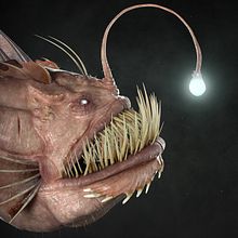 In the Shadow. 3D, 3D Animation, 3D Modeling, and 3D Character Design project by Davide Sasselli - 02.08.2022