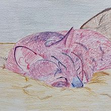 TEG: dibuix a llapis de colors d’un animal. Een project van Tekenen met kleurpotloden van Carla Villamana - 08.02.2022