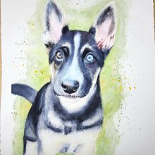 Dog Portrait and first background experiment . Watercolor Painting, and Fine Arts project by claudia.ms - 02.04.2022