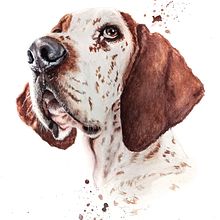 Mon projet du cours : Portraits expressifs d'animaux à l'aquarelle. Projekt z dziedziny Trad, c, jna ilustracja, Malowanie akwarelą, R, sunek realist, czn, Ilustracja naturalist i czna użytkownika Fanelie Rosier - 09.02.2022