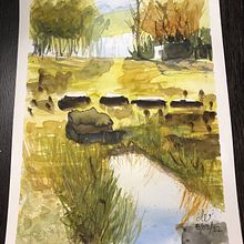Mi Proyecto del curso: Paisajes naturales en acuarela. Un projet de Beaux Arts, Peinture , et Aquarelle de Alejandra Taborda - 09.02.2022