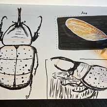 Besouro rinoceronte. Un progetto di Sketchbook di Luana Cristina dos Santos Honorato - 09.02.2022
