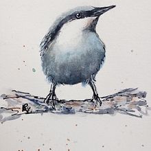 My project in Artistic Watercolor Techniques for Illustrating Birds course. Traditional illustration, Watercolor Painting, Realistic Drawing, and Naturalistic Illustration project by Bobby Venedam - 02.09.2022