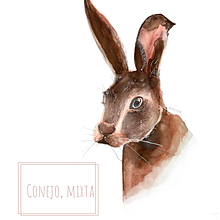 Mi Proyecto del curso: Técnicas experimentales de acuarela para principiantes. Traditional illustration, Fine Arts, Watercolor Painting, and Naturalistic Illustration project by Isabel Sauvage - 02.09.2022