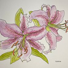 My project in Botanical Sketchbooking: A Meditative Approach course. Traditional illustration, Sketching, Drawing, Watercolor Painting, Botanical Illustration, and Sketchbook project by brennan_taryn - 02.09.2022