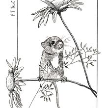My project in Dip Pen and Ink Illustration: Capturing The Natural World course. Sketching, Drawing, Artistic Drawing, Sketchbook, Ink Illustration, and Naturalistic Illustration project by Tra Pham - 02.09.2022
