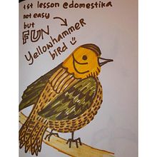 My project in Illustrated Life Journal: A Daily Mindful Practice course. Fine Arts, Sketching, Creativit, Drawing, Sketchbook, and Traditional illustration project by pauline.leander - 02.10.2022