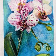Mój projekt z kursu: Ilustracja botaniczna akwarelą. Traditional illustration, Fine Arts, Painting, Drawing, Watercolor Painting, Botanical Illustration, Floral, and Plant Design project by Anna Sokół - 02.10.2022
