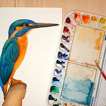 Colorful birds to my "Italian Forest" project. Un progetto di Design, Illustrazione tradizionale, Pittura ad acquerello, Illustrazione infantile, Belle arti e Pattern design di Griselda Scarafia - 08.02.2022
