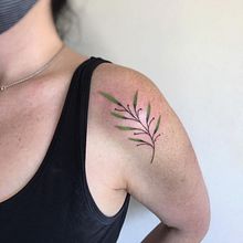 Botánico con color . Design tatuaj de Rodrigo Bañados - 02.10.2022