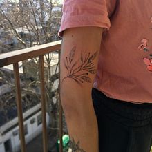 Brazo botánico. Tattoo Design project by Rodrigo Bañados - 02.10.2022