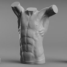 Anatomy Studies. Un proyecto de 3D, Modelado 3D, Diseño de personajes 3D y Escultura de Davide Sasselli - 10.02.2022