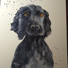 Benjie. Un projet de Peinture , et Aquarelle de Harriet Withers - 09.02.2022