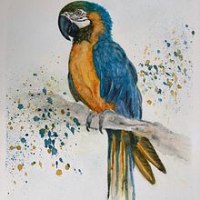 My project in Artistic Watercolor Techniques for Illustrating Birds course. Watercolor Painting project by b_a_rotter - 02.11.2022