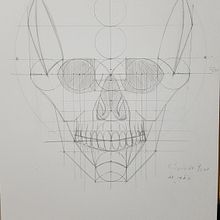 Mi Proyecto del curso: Dibujo anatómico de la cabeza humana. Projekt z dziedziny  Sztuki piękne, R, sunek ołówkiem,  R, sunek, Portret, R, sunek realist, czn, R i sunek anatomiczn użytkownika Manuel Rodríguez Escobedo - 20.02.2021