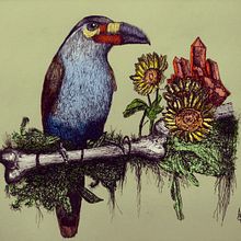 Meu projeto do curso: Ilustração naturalista à caneta. Un proyecto de Ilustración tradicional, Dibujo, Dibujo realista e Ilustración naturalista				 de Alan Costa - 11.02.2022