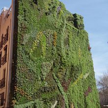 Mon projet du cours : Design d’intérieur de A à Z. Projekt z dziedziny Architektura wnętrz, Projektowanie wnętrz, Dekoracja wnętrz i Projektowanie przestrzeni użytkownika Victoria Deborah Bulambo - 12.02.2022