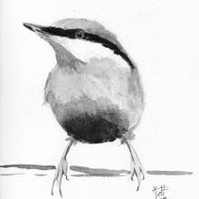 Oiseau Aquarelle. Un progetto di Illustrazione tradizionale di Jeff CAP - 11.02.2022