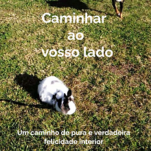 Caminhar ao vosso lado Ein Projekt aus dem Bereich Schrift von Cátia - 03.11.2019
