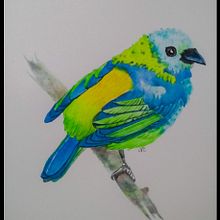 Meu projeto do curso: Aquarela naturalista com expressão e personalidade. Projekt z dziedziny Trad, c, jna ilustracja, Malowanie akwarelą, Ilustracja naturalist i czna użytkownika Cristina Colato - 11.02.2022