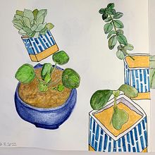 My project in Botanical Sketchbooking: A Meditative Approach course . % Angela York tarafından hazırlanan Geleneksel illüstras, on, Eskiz çizimi, Çizim, Sulubo, a Resim, Botanik İllüstras, on, Ve Eskiz defteri projesi - 02.13.2022