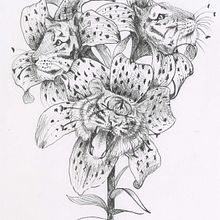 My project in Surrealistic Fineliner Illustration course. Traditional illustration, Pencil Drawing, Drawing, Realistic Drawing, Artistic Drawing, Ink Illustration, and Naturalistic Illustration project by Emily Whittingham - 02.14.2022
