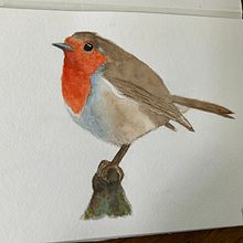 Watercolour birds. Painting project by Alison King - 02.15.2022
