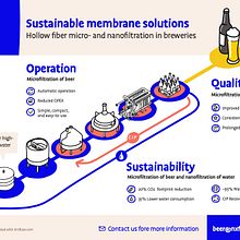 Sustainable solutions in beer breweries. Drawing, Infographics, and Creative Consulting project by Hermen Lutje Berenbroek - 10.01.2020