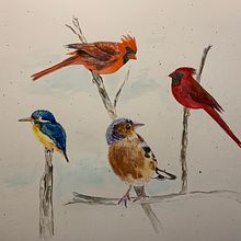 Meu projeto do curso: Técnicas expressivas de aquarela para ilustração de pássaros. Traditional illustration, Watercolor Painting, Realistic Drawing, and Naturalistic Illustration project by Cristina Caggiano C - 02.15.2022