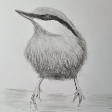 My project in Artistic Watercolor Techniques for Illustrating Birds course. Traditional illustration, and Watercolor Painting project by wzkowapestka - 01.10.2022