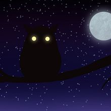 Owl in the night. Traditional illustration project by Alba Schutte - 09.20.2021
