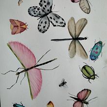 Mi Proyecto del curso: Diario naturalista en acuarela. Projekt z dziedziny Trad, c, jna ilustracja, Malowanie akwarelą, R, sunek botaniczn, Sketchbook, Ilustracja naturalist i czna użytkownika Carmina Sanchez-Bayo - 16.02.2022