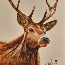 Mijn hert in aquarel.. Watercolor Painting project by Mariet van de Waarsenburg - 02.16.2022