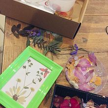 Mi Proyecto del curso: Técnicas básicas de prensado botánico. Un proyecto de Artesanía, Bellas Artes, Collage, DIY, Diseño floral, vegetal y Diseño de Nancy Vera - 17.02.2022