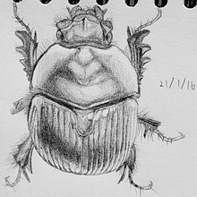 My several previous artworks. Traditional illustration, Sketching, Creativit, Drawing, Sketchbook, Pencil Drawing, Realistic Drawing, Ink Illustration, and Naturalistic Illustration project by Uijun Hwang - 02.17.2022