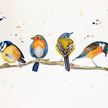 My project in Artistic Watercolor Techniques for Illustrating Birds course. Un projet de Illustration traditionnelle, Aquarelle, Dessin réaliste et Illustration naturaliste de kilby - 03.03.2022