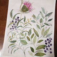 My Garden. Traditional illustration, Painting, Watercolor Painting, Botanical Illustration, and Creativit project by Judith Umlauf - 02.17.2022