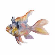 Mijn project van de cursus: Zeewerelden illustreren met aquarel. Traditional illustration, Painting, Watercolor Painting, and Naturalistic Illustration project by Judith van Rijswijk - 02.17.2022