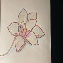 Flor colorida. Un progetto di Sketchbook di Luana Cristina dos Santos Honorato - 17.02.2022