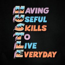 Having Useful Skills To Live Everyday. Een project van  Belettering van Orestes Mora - 16.01.2019