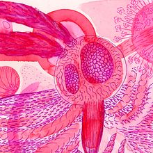 Insect world. Un projet de Illustration traditionnelle, Aquarelle, Peinture, Illustration naturaliste, Dessin, Dessin artistique, Dessin aux cra , et ons de couleur de Sandra Cartellone - 18.02.2022