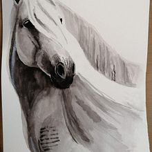 Il mio progetto del corso: Ritratti espressivi di animali ad acquerello. Traditional illustration, Watercolor Painting, Realistic Drawing, and Naturalistic Illustration project by Antonella Vignati - 02.18.2022