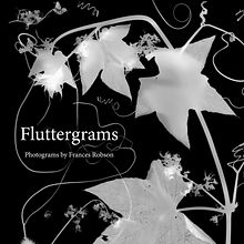 Fluttergrams           Photograms and text by Frances Robson. Un progetto di Fotografia artistica, Scrittura di narrativa non-fiction e Graphic design di Frances Robson - 18.02.2022
