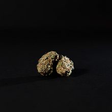 Jalisco Cannabis Cup 2021. Eventos, e Comunicação projeto de rceciliaortiz - 10.11.2021