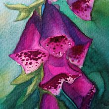 My gouache & watercolor . % Adriana tarafından hazırlanan Sulubo, a Resim, Gerçekçi Çizim, Sanatsal Çizim, Botanik İllüstras, on, Doğalcı İllüstras, on, Geleneksel illüstras, on, Tablo, Yaratıcılık, Guaj Bo, ama, Güzel sanatlar, Ve Karakter Tasarımı projesi - 02.19.2022