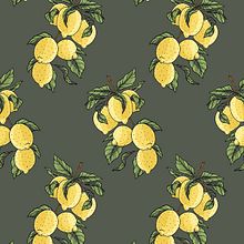 My project in Creating Botanical Patterns from a Drawing course. Een project van Digitale illustratie,  Botanische illustratie y Digitale tekening van Evgeniia evasol - 19.02.2022