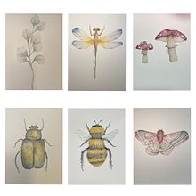 Aplicación de técnicas del curso Dibujo y composición  naturalista. Un projet de Aquarelle, Dessin, Illustration naturaliste, Beaux Arts , et Peinture de Ana Laura Moreno Díaz - 06.02.2022