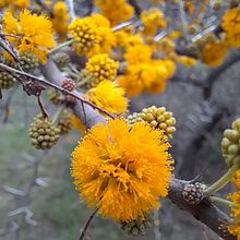 "Los personajes de la verdad". Projekt z dziedziny  Kolaż i Ilustracja cyfrowa użytkownika eliana lobos - 03.01.2022