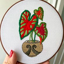 Planta (estudio de color - caladio). Embroider project by Coricrafts - 02.18.2022