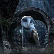 Mi Proyecto del curso: Secretos del fotomontaje y el retoque creativo. Projekt z dziedziny Fotografia, Postprodukcja fotograficzna, VFX, Retuszowanie fotografii, Fotografia art, st, czna,  Kompoz, cja w fotografii i Fotomontaż użytkownika Sebastian Téllez - 20.02.2022